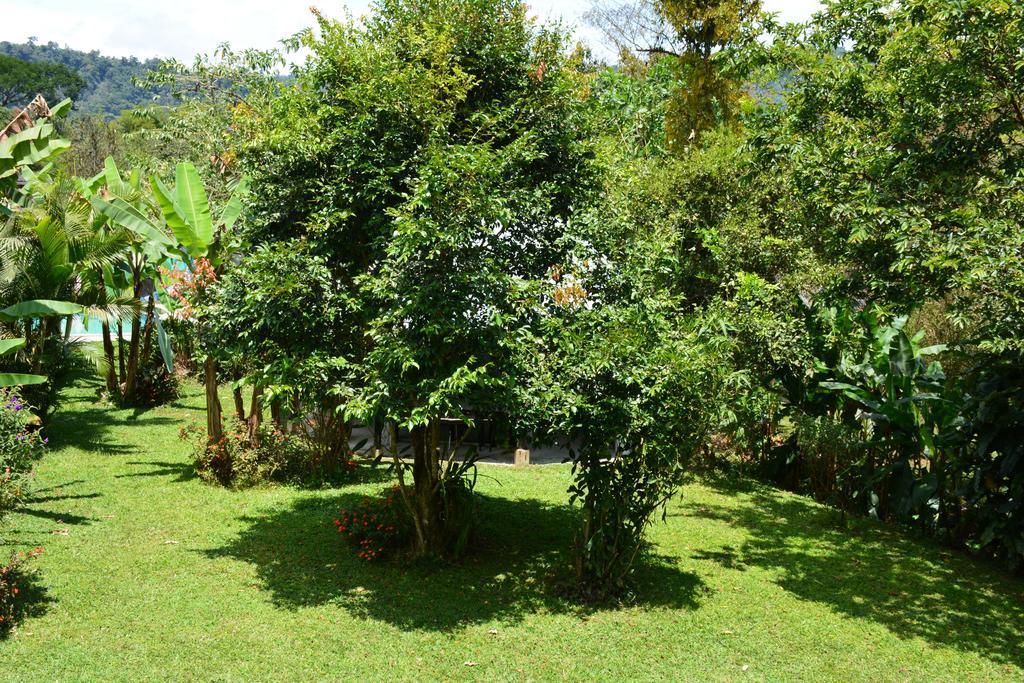 Casa De Piedra Hostel Mindo Kültér fotó
